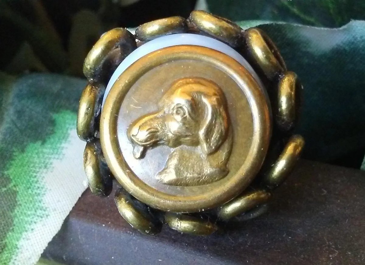 loyaltyofdogs's tweet image. Just arrived at our Etsy shop's Vintage Dog #Buttonjewelry gallery: A most unique antique hound button ring! Is he a bloodthirsty hunter, or is he just expressing an opinion?
loyaltyofdogs.etsy.com/listing/447780…
#doglover #buttonring #antiquedog #dogsofX #dogjewelry