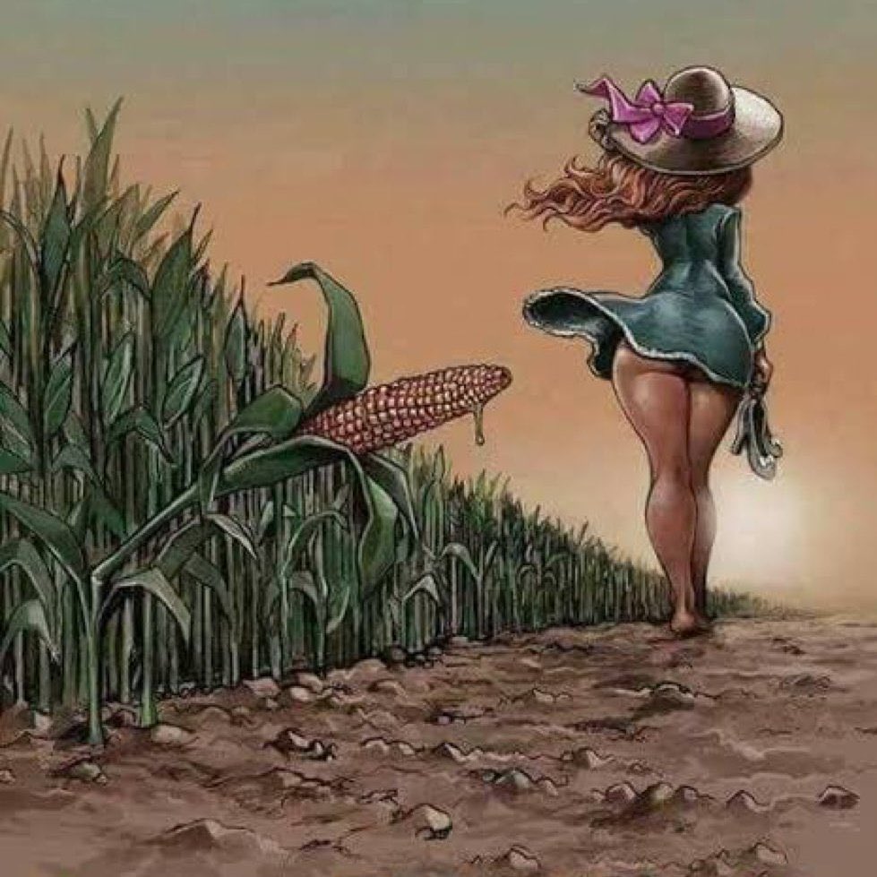 relampago marquinhos tweet media