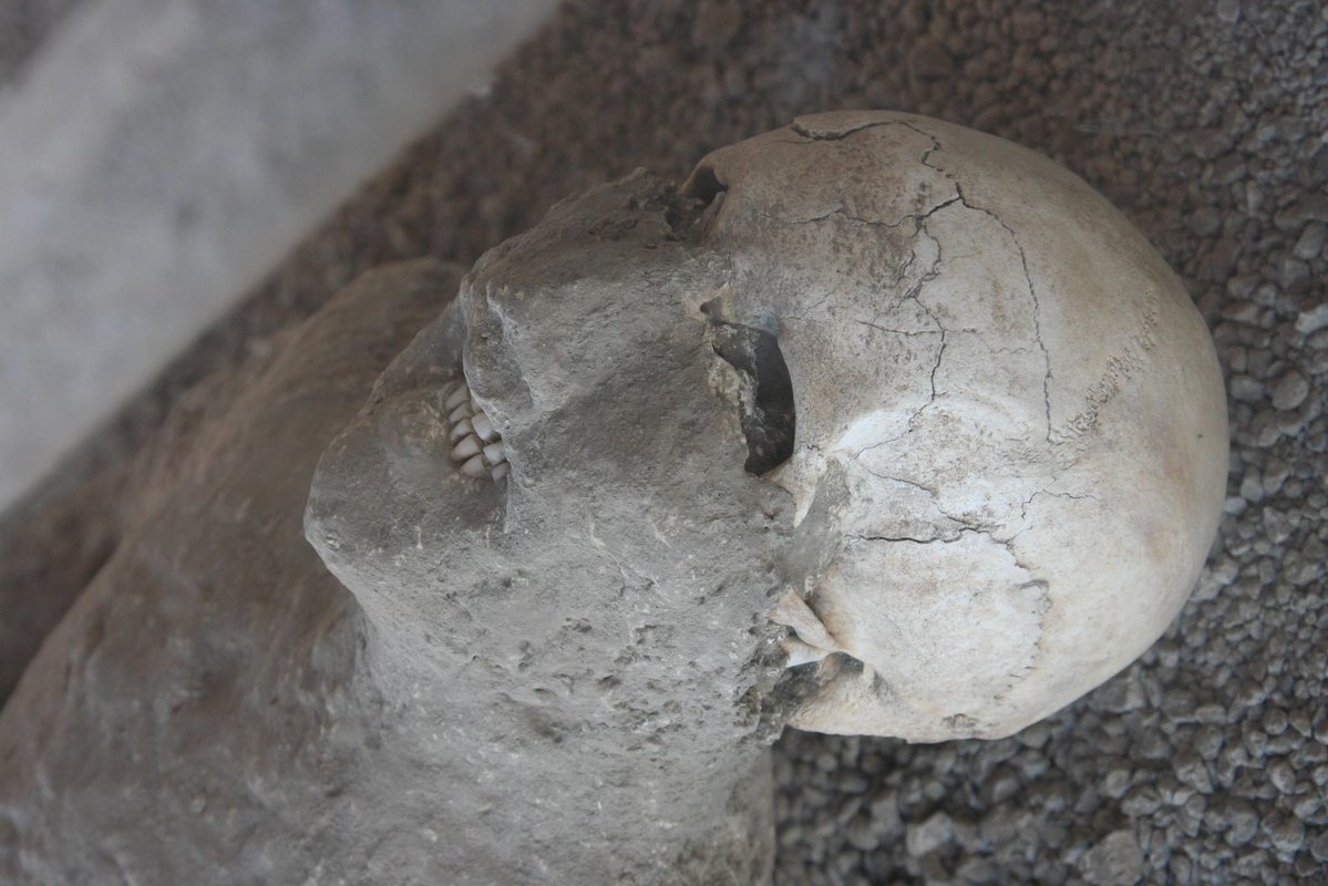 Fotos de Fatos tweet media