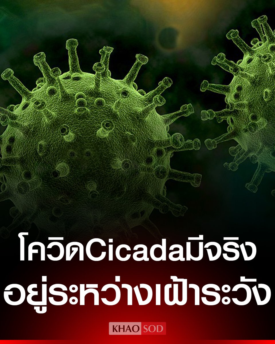 KhaosodOnline's tweet photo. สถาบันวัคซีนแห่งชาติ แจงแล้ว ปมพบ โควิด สายพันธุ์ใหม่ 'Cicada' เผย มีจริง แต่ไม่ได้มาจากจิ้งหรีด ตอบชัด วัคซีนสามารถป้องกันได้หรือไม่ https://t.co/Ji6YhiOXF0