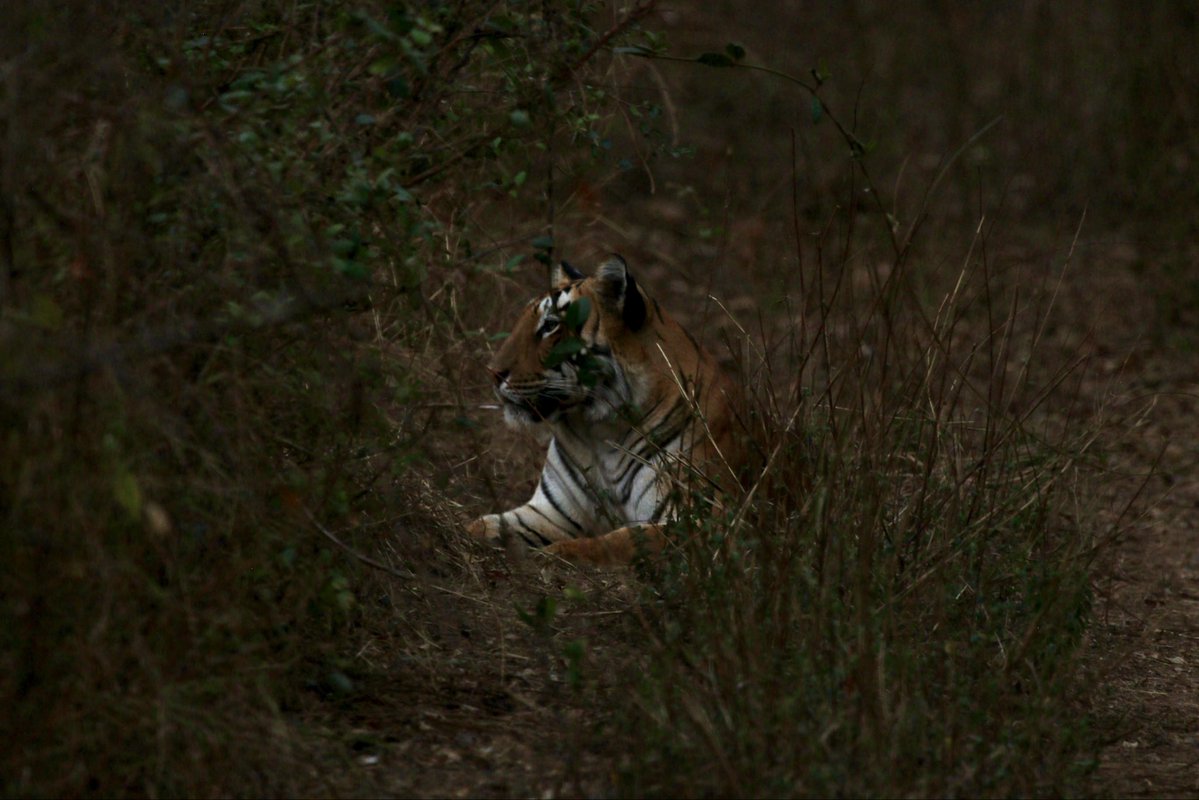 AnandMadabhushi tweet media