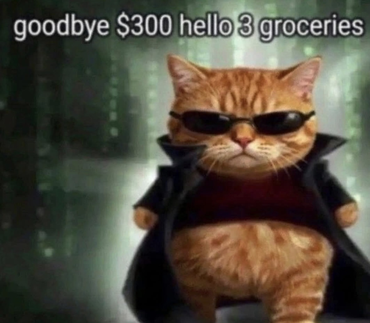 RespectfulMemes's tweet photo. https://t.co/uH8KziRu7W