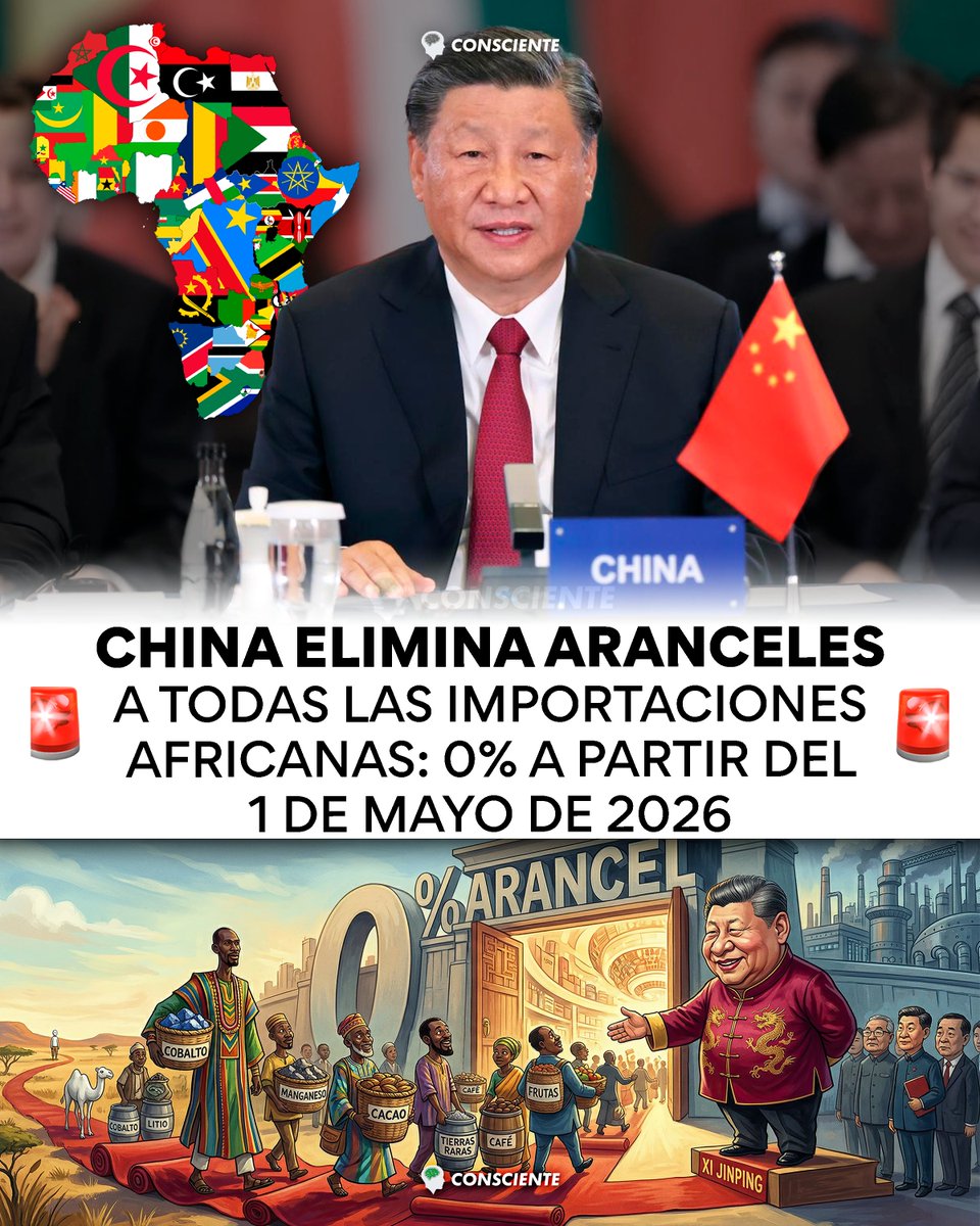 Consciente tweet media