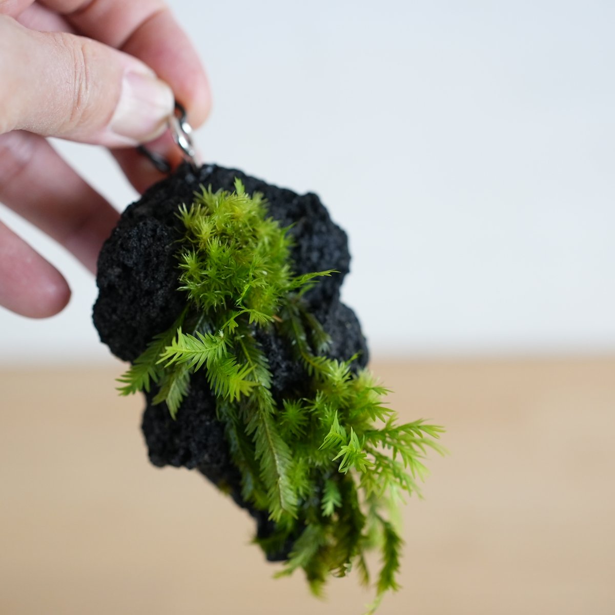 道草 michikusa tweet media