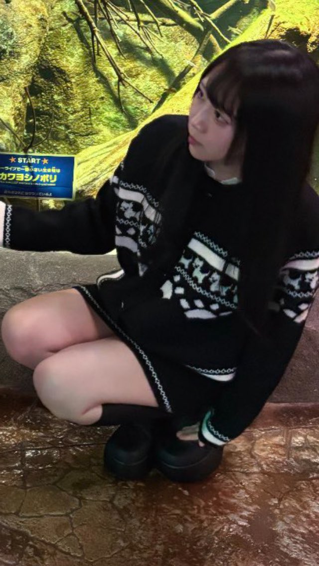 だいすけ tweet media