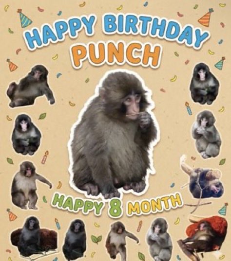 CuttyQ 🌊 🐟 tweet media