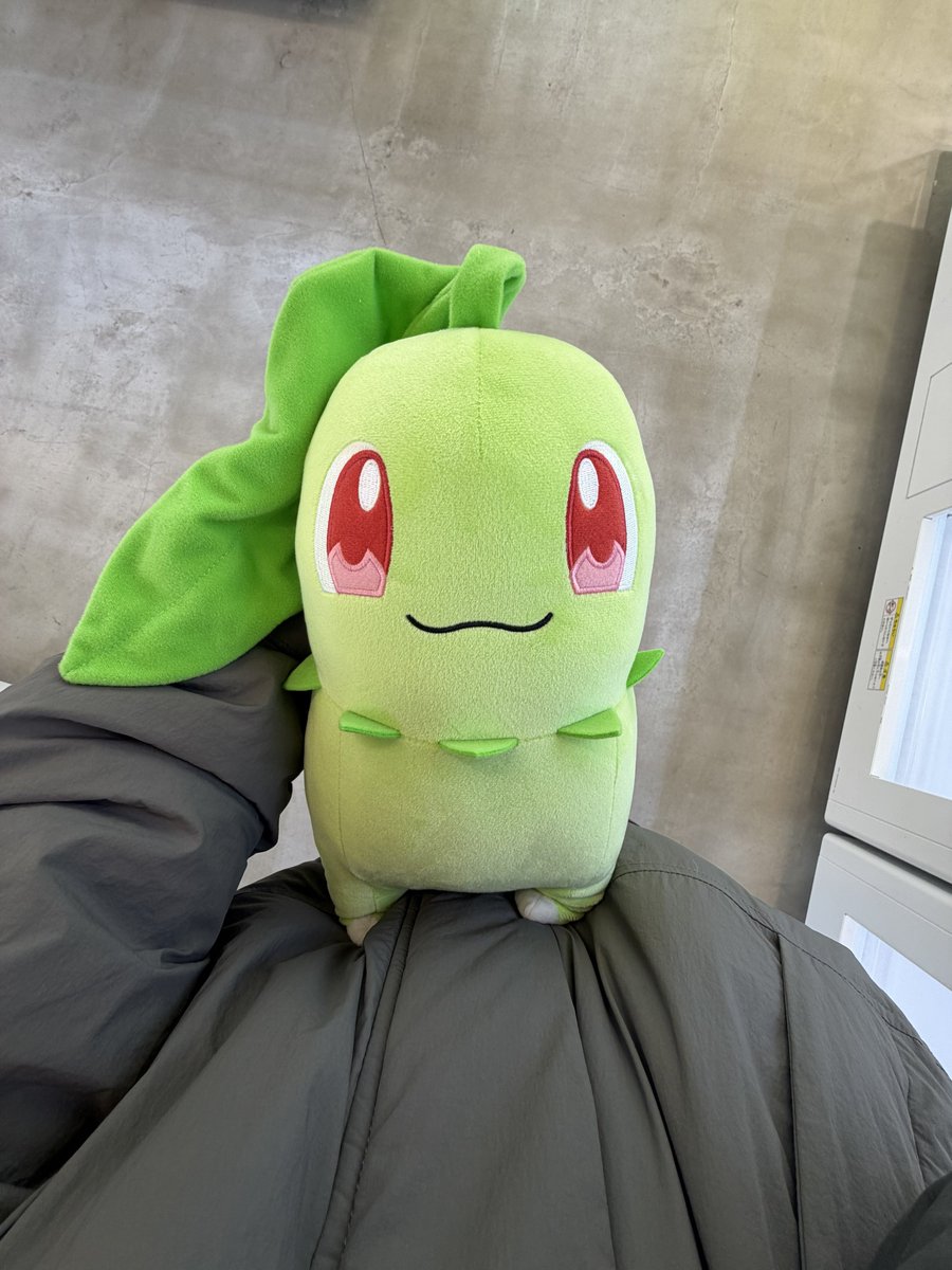 りゅうせい tweet media