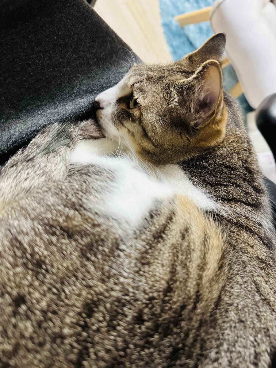 氷凪◆10/31発売🌟夜明けを焦がす星々② tweet media