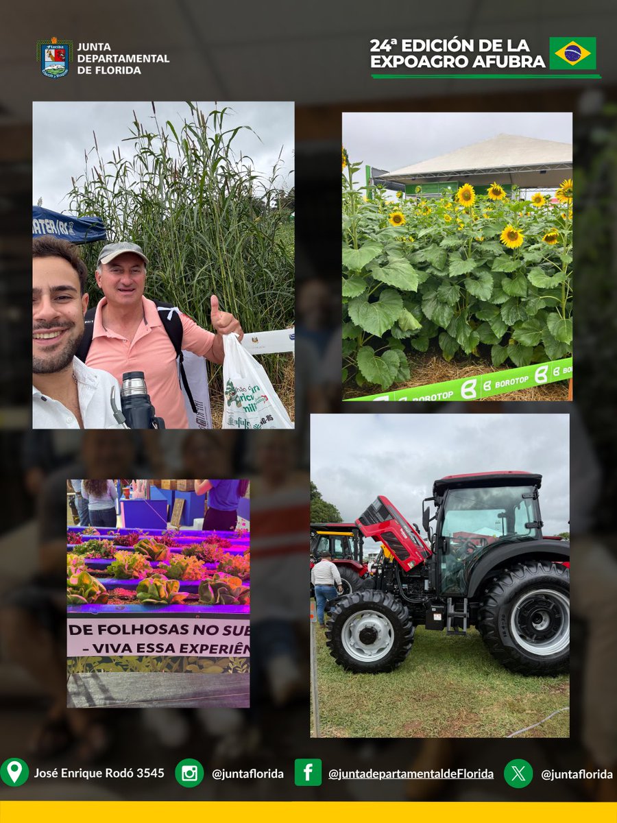 Junta Departamental de Florida tweet media