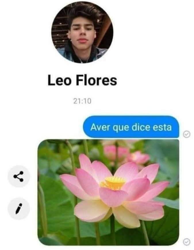 TuziBotMemes🤪😂🤣 tweet media