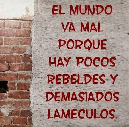 Yan✨️💗 tweet media