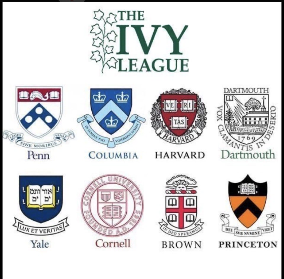 Cebigreen tweet media