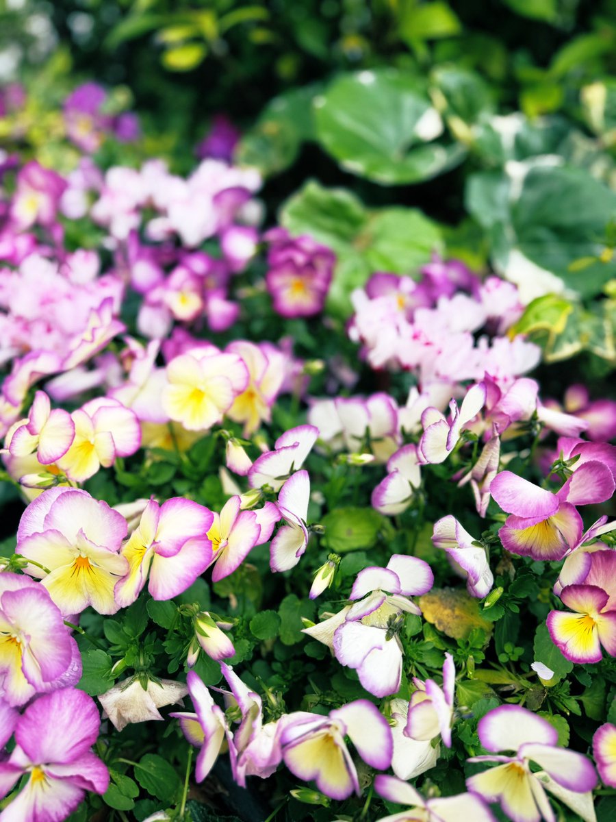 栗林さみ tweet media