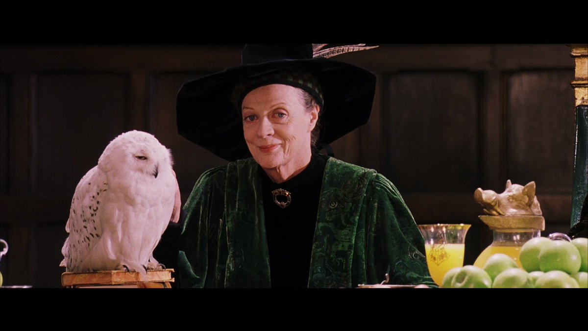 This one little moment of McGonagall petting Hedwig in the first film >> HBO