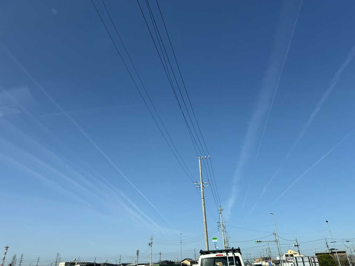 たき(元ミーアキャットひなた) tweet media