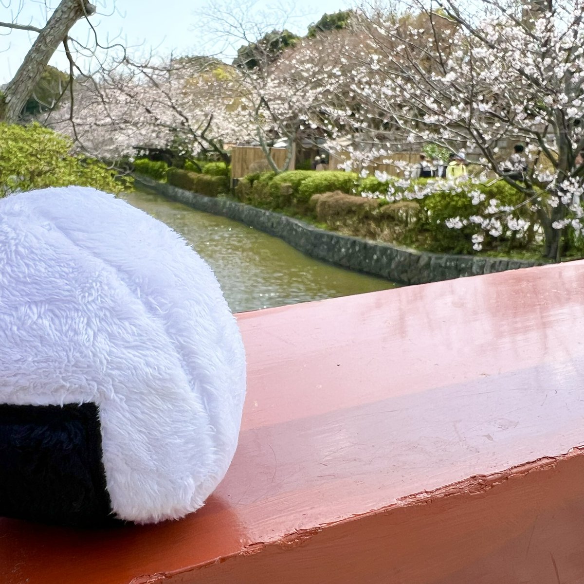 おぎはらよしトリスタンねっこฅ•ω•ฅ tweet media