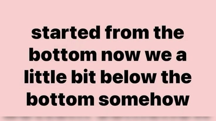 shark baiter tweet media