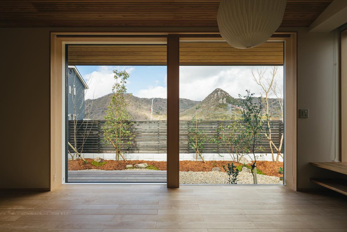 浅草不知秋～姚远 tweet media