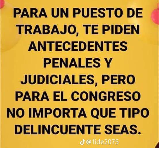 Perla tweet media