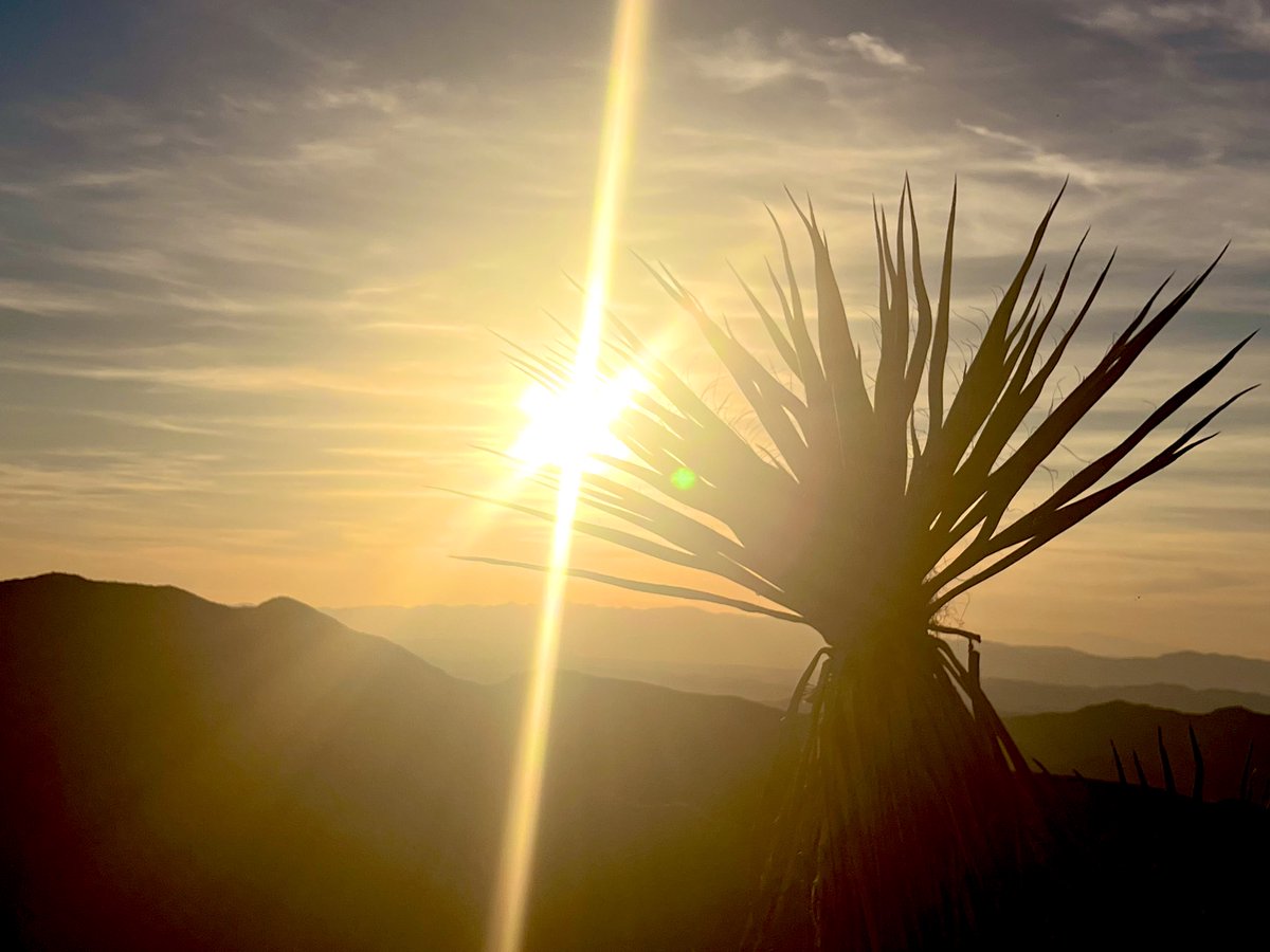 Flawwed1 tweet media