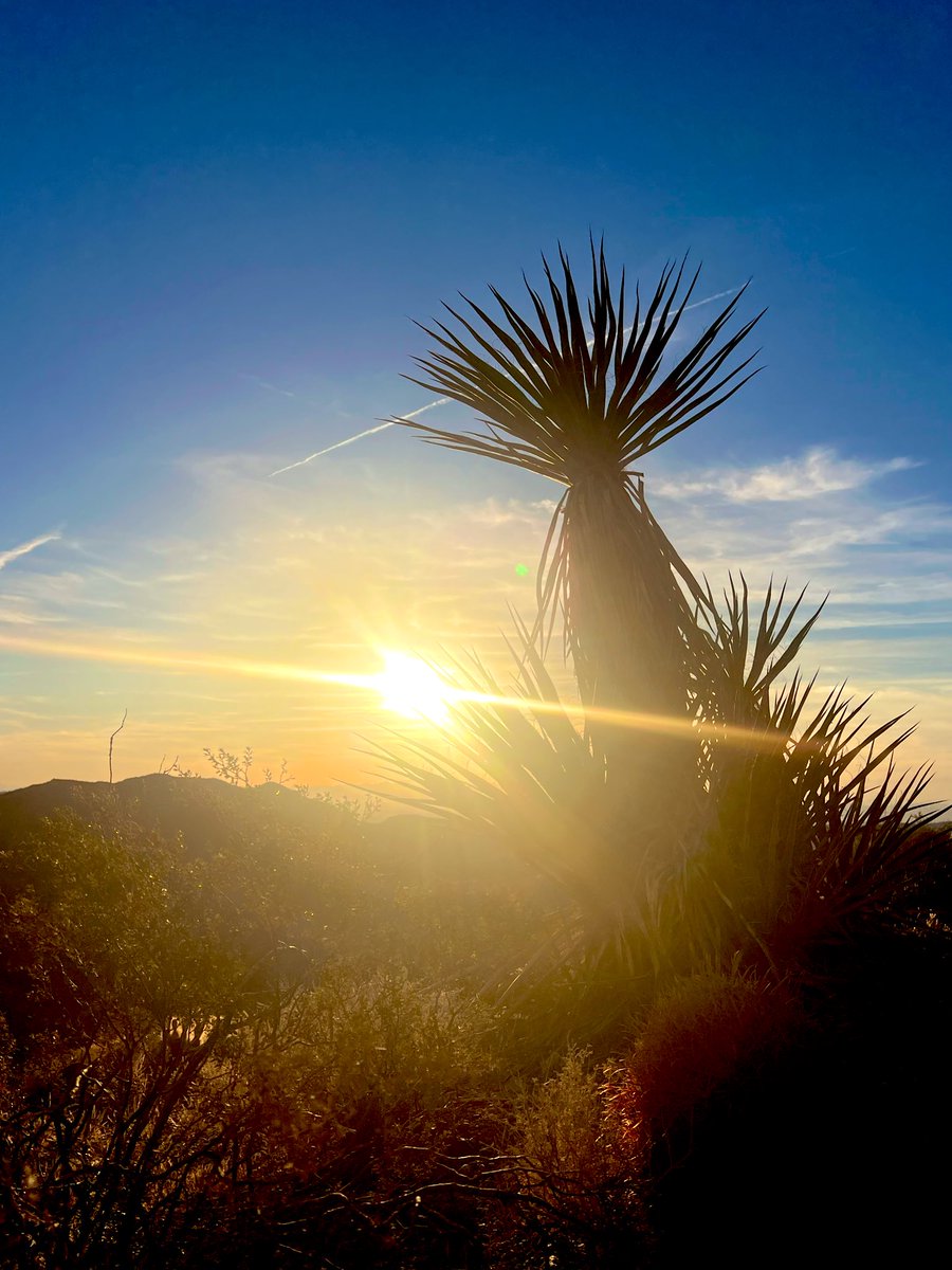 Flawwed1 tweet media