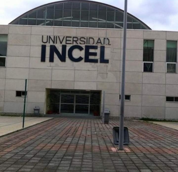 Recreo Shitpost tweet media