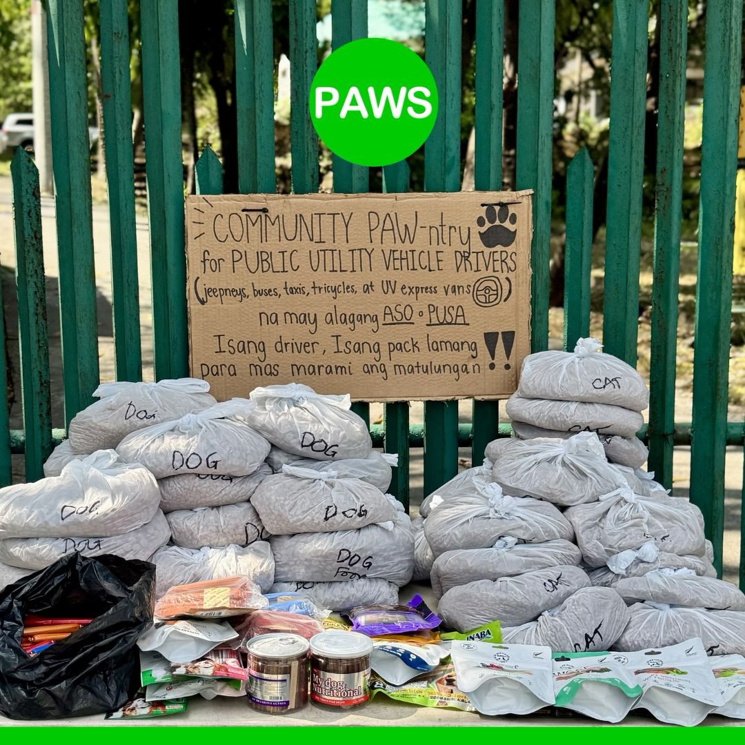 GMA Integrated News tweet media