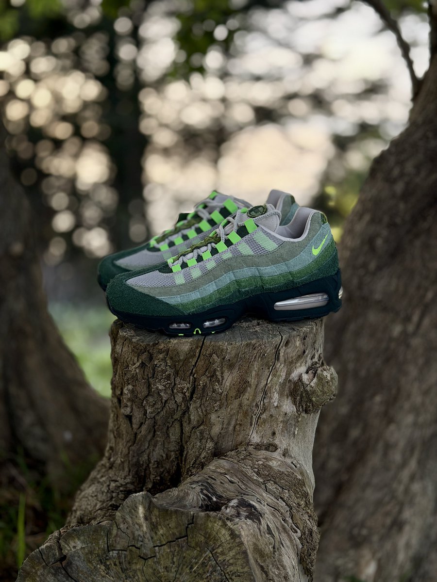 THEGODFRESCO 🏁 tweet media