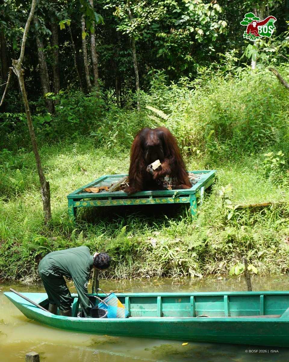 BOS Foundation tweet media