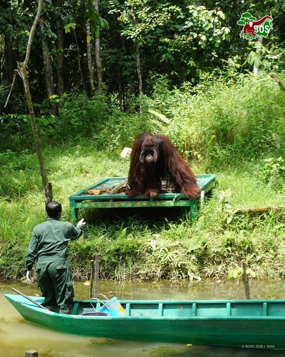 BOS Foundation tweet media