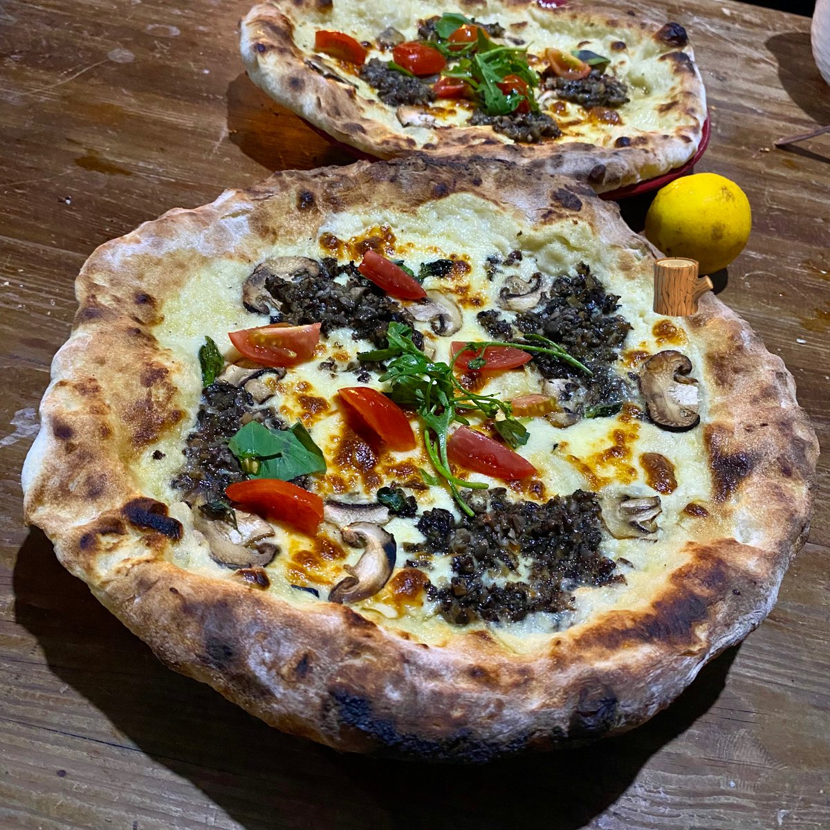 🏰🪸 tweet media