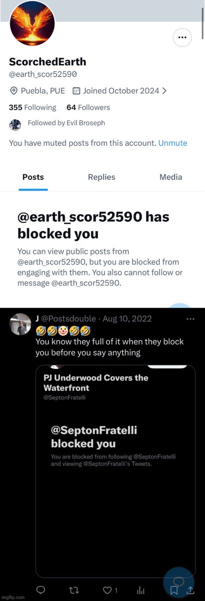 Trender (Please do not dm/tag/etc) tweet media