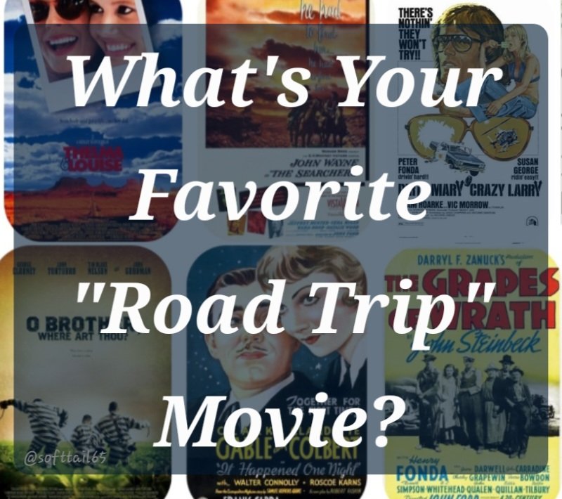 Monica 💙🌻🏳️‍🌈 tweet media