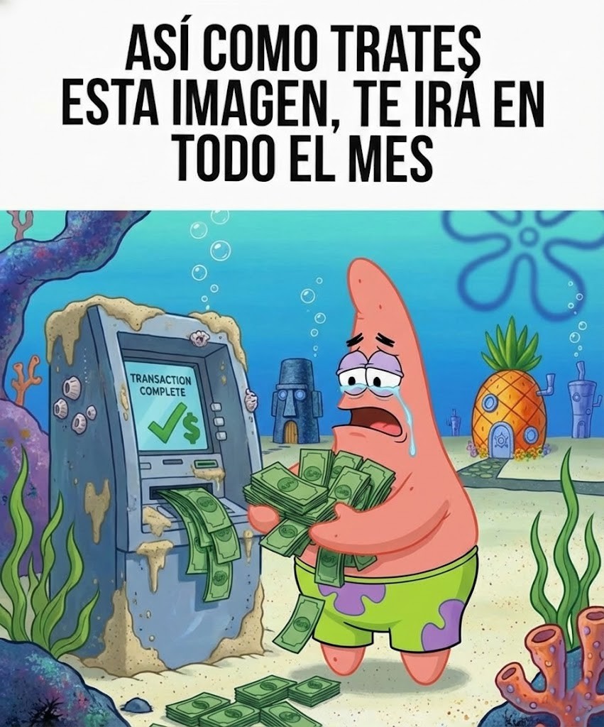 Zona Zero tweet media