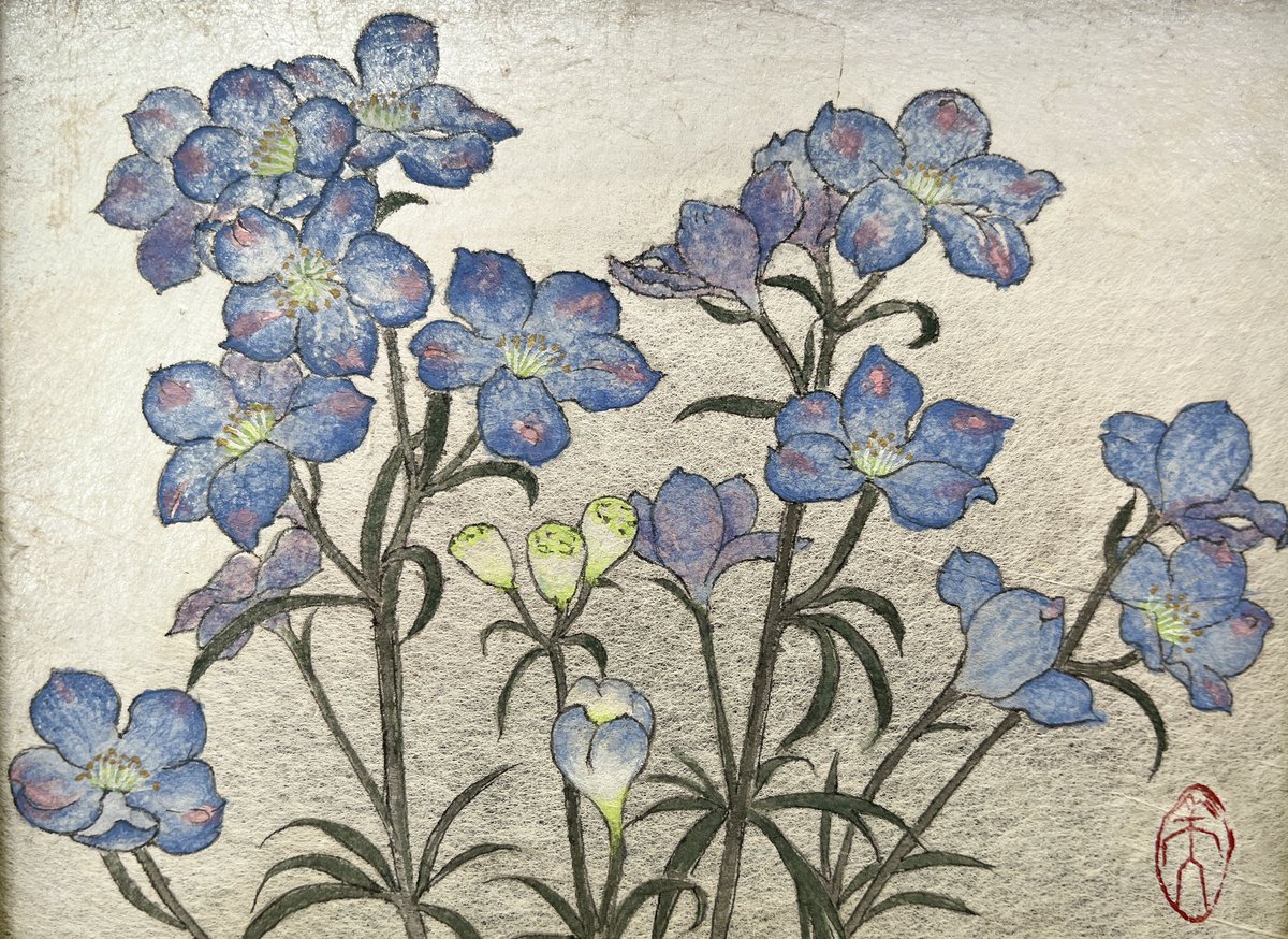 花や生き物、人物を描いた日本画作品を展示しています。お散歩がてらお立ち寄りいただけたら幸いです。

「笠原美和日本画個展〜まなざしの来し方〜」
会場：立川アートスペース
会期： 2026年3月24日(火)〜2026年3月29日(日)
時間： 12:00〜18:00(最終日：17:00)
会期中は毎日在廊いたします。