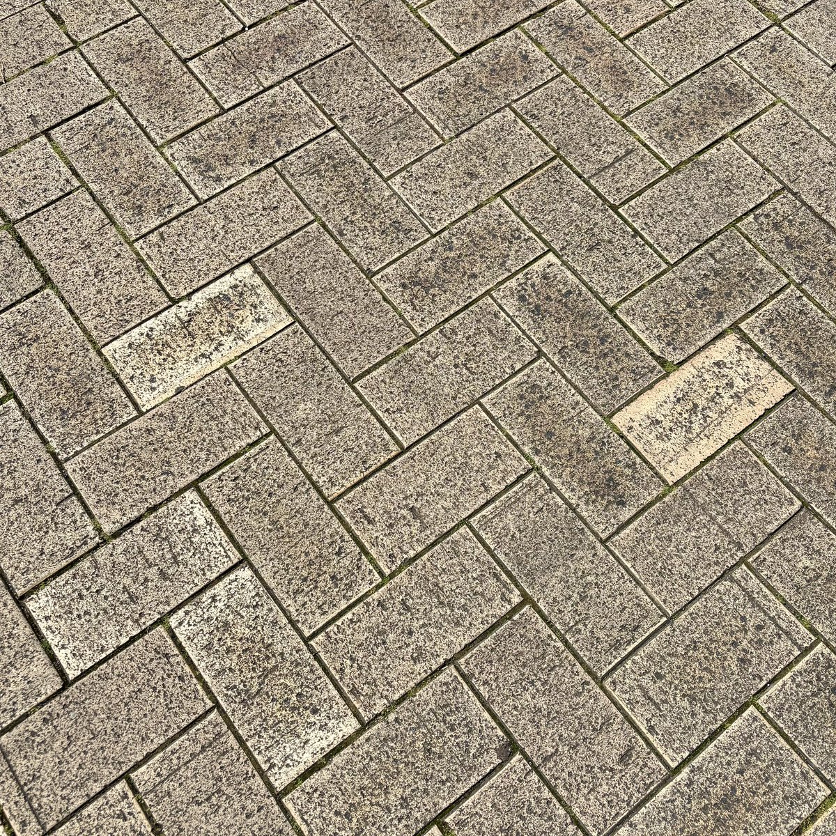 ばびる tweet media