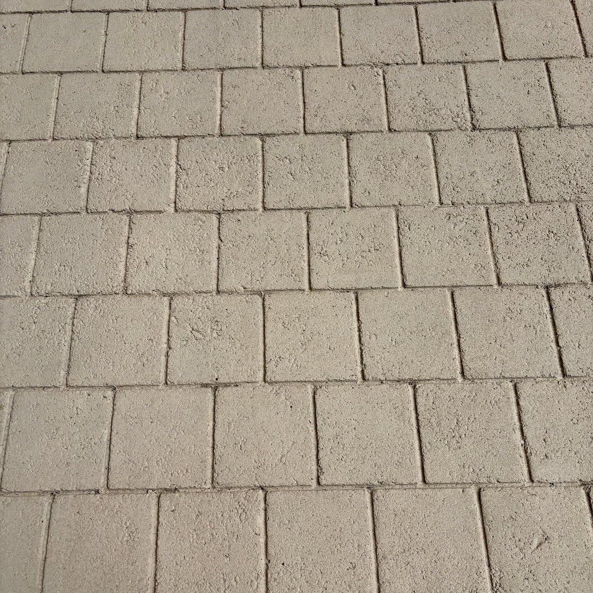 ばびる tweet media