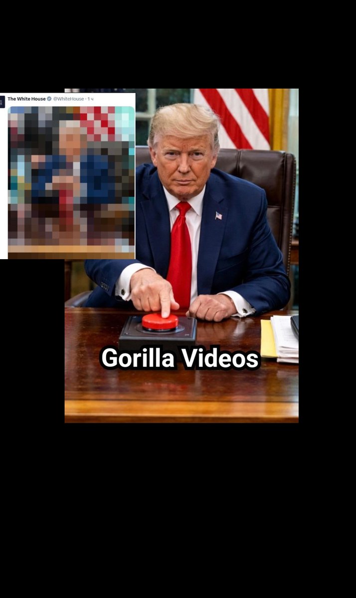 Terrible Tacos tweet media