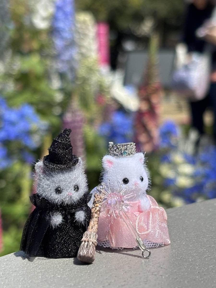 yami_uduki's tweet photo. 先日ウィキッドのエルファバとグリンダのシルバニア服を作ったのですが、Daiさん(@3559dai )が箒と杖を作ってくれたのでシルバニアと並べてみました！サイズがピッタリ💚🩷
#wicked 
#wickedforgood 
#ウィキッド https://t.co/512dyCM4q5