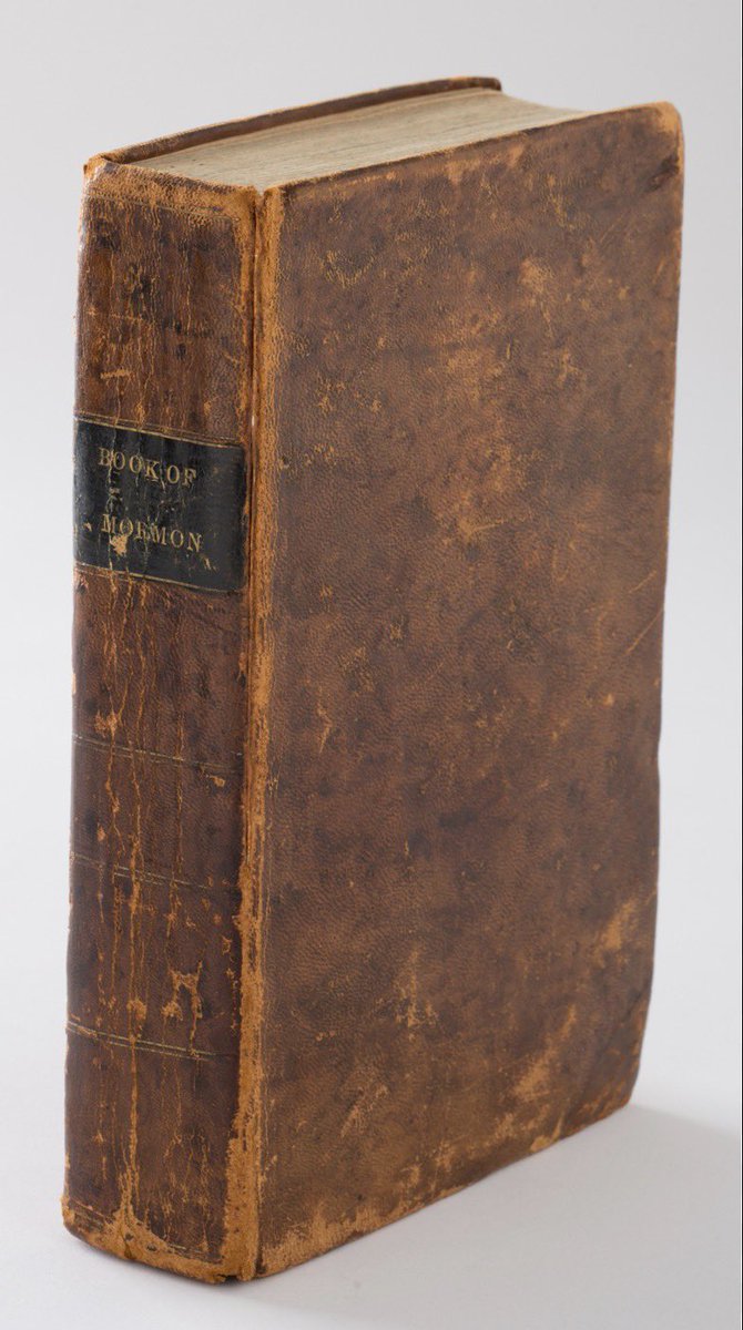 Jesse Fox tweet media