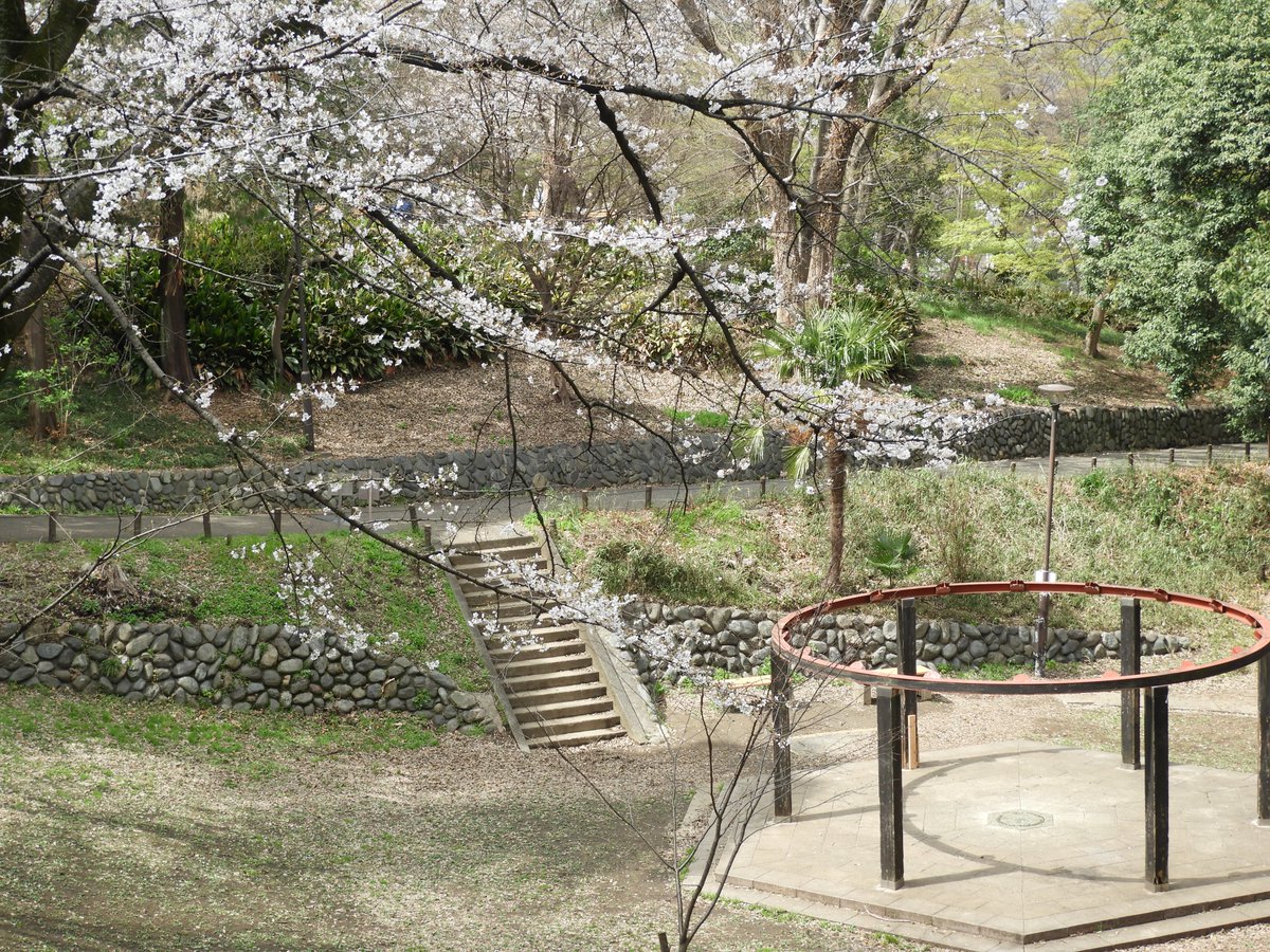 都立戸山公園　園長の採れたて情報 tweet media