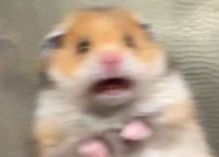 예시니랑💕 tweet media