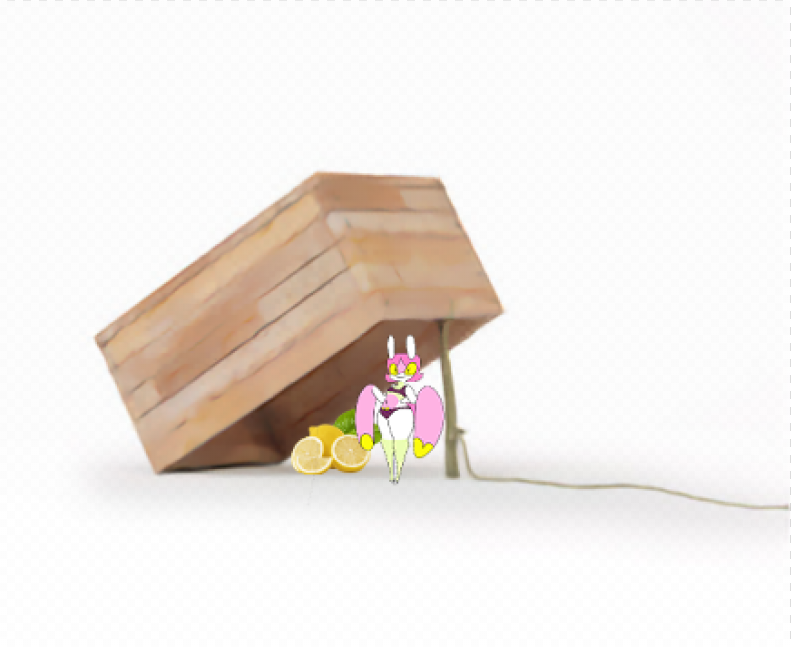 ChonkyBoi tweet media