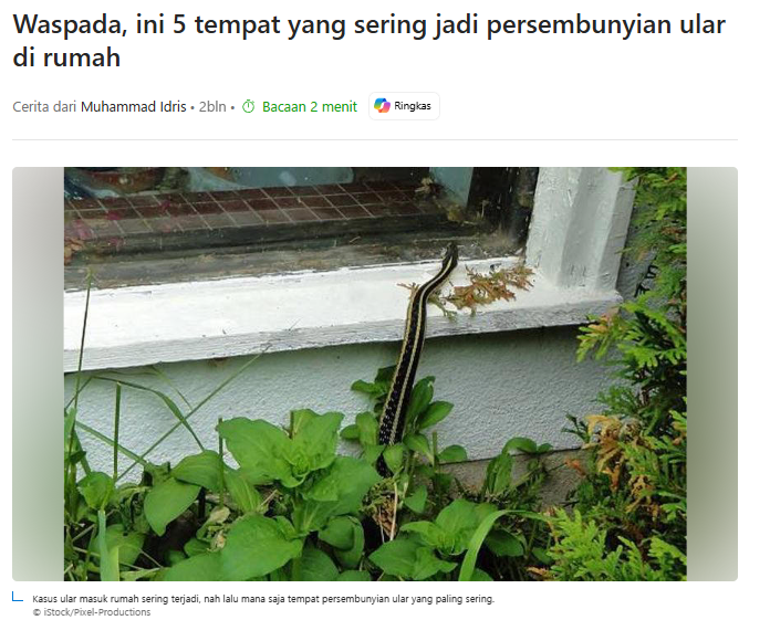 anakpulau tweet media