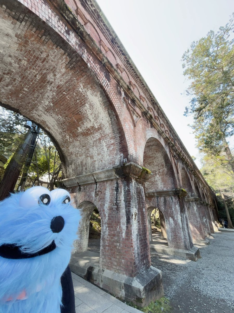 マリィちゃん🦖羽スン໒꒱ tweet media