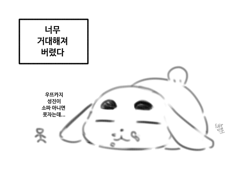 돼밥곰 tweet media