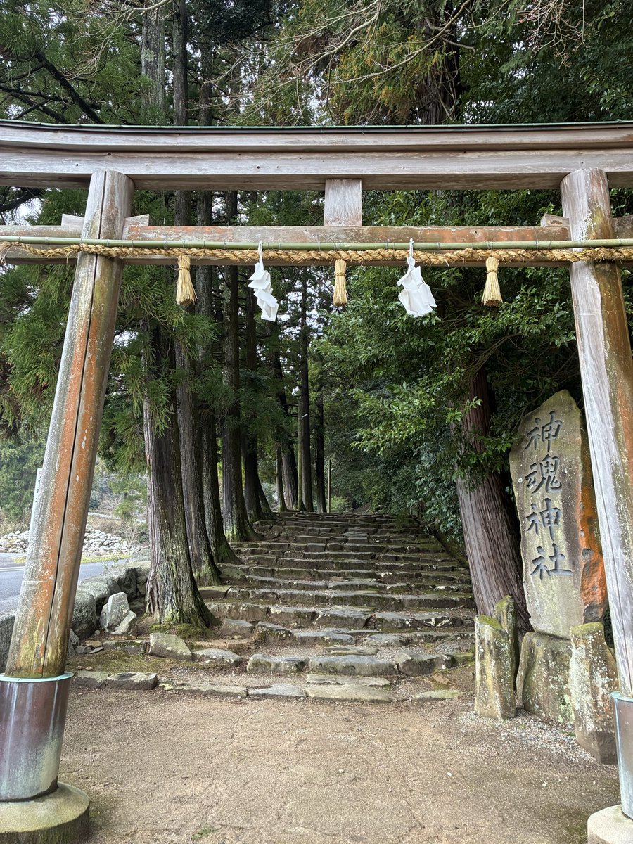 桂弥っこ tweet media