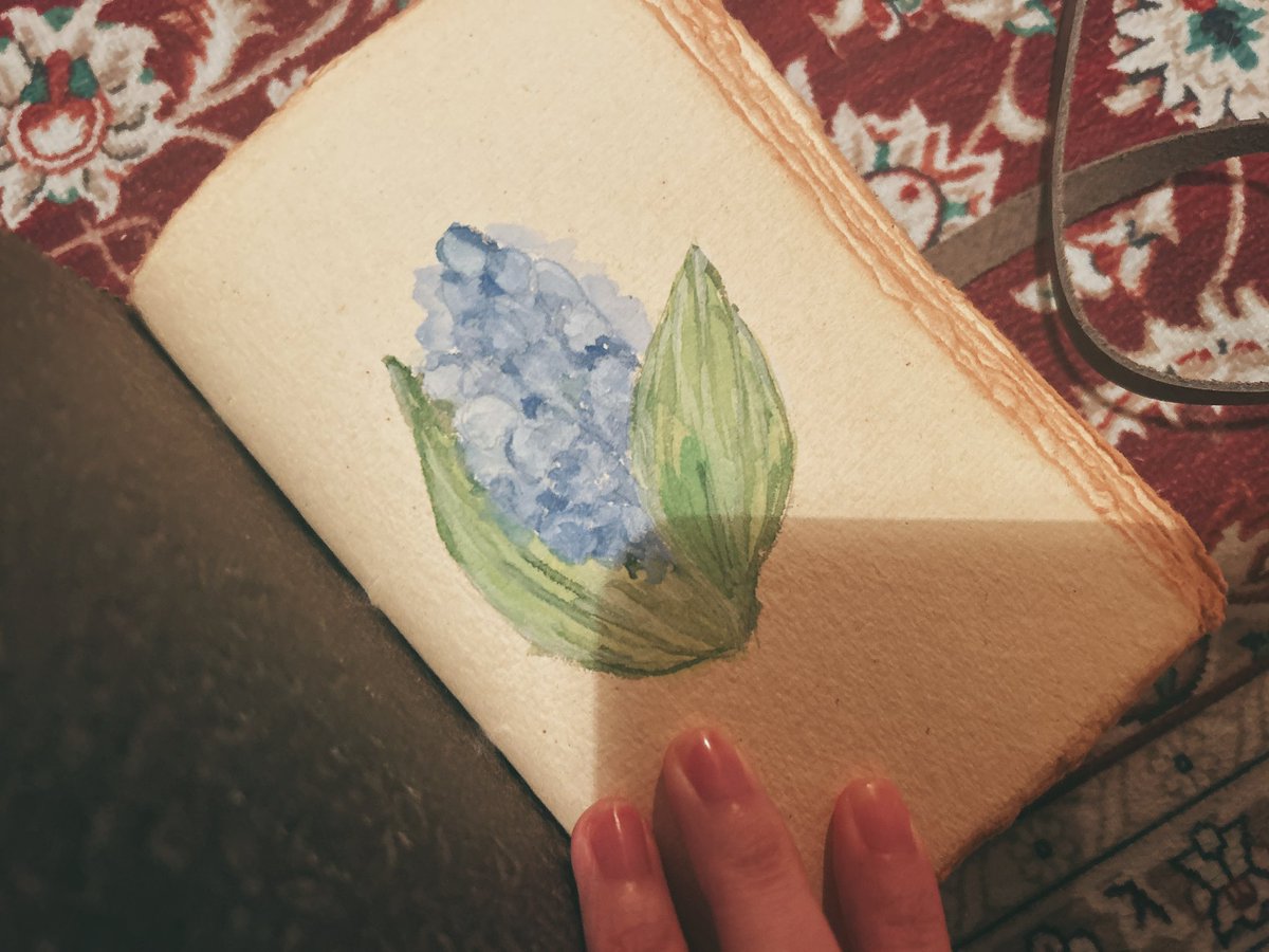 えびめ tweet media