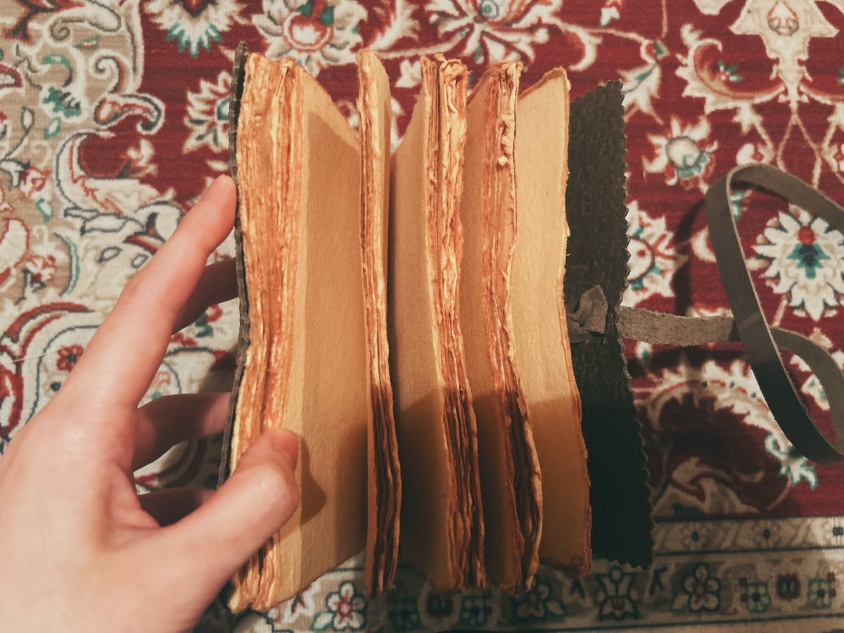 えびめ tweet media