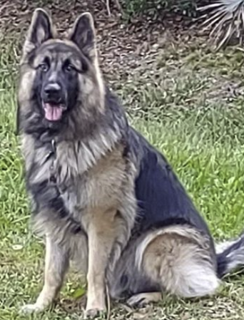 E Dunham tweet media